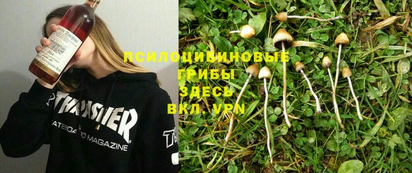 эйфоретик Горняк